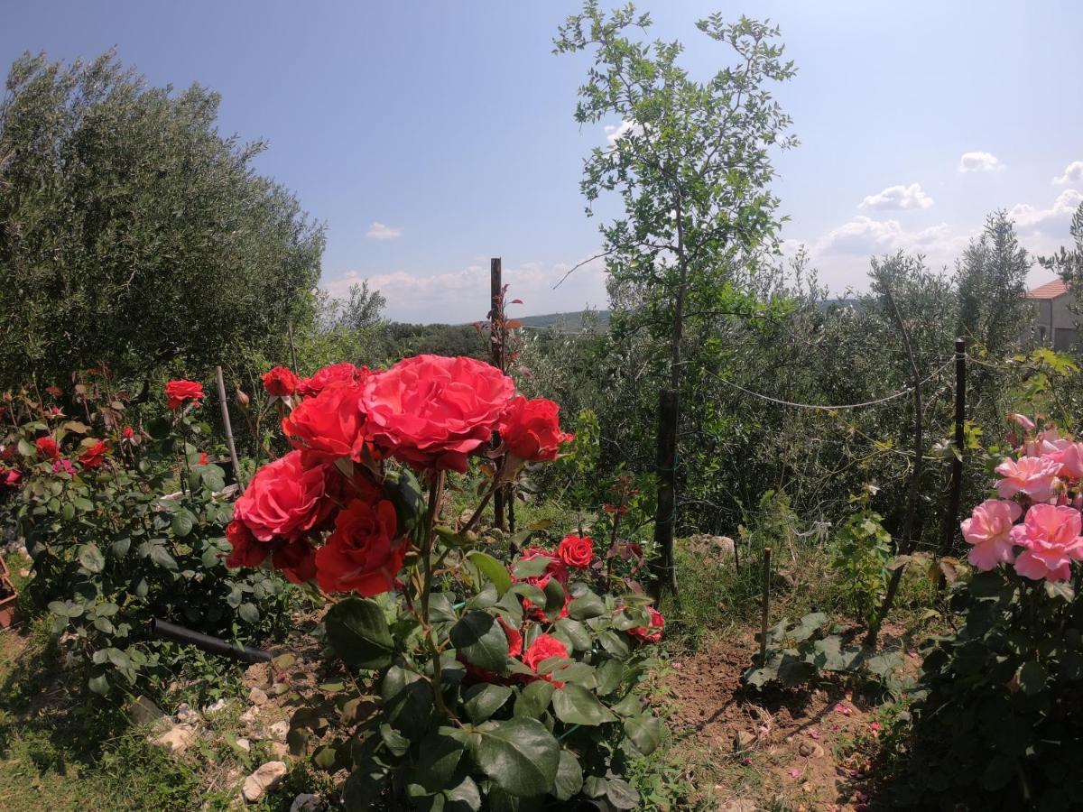 Apartman Tina Ražanac Buitenkant foto