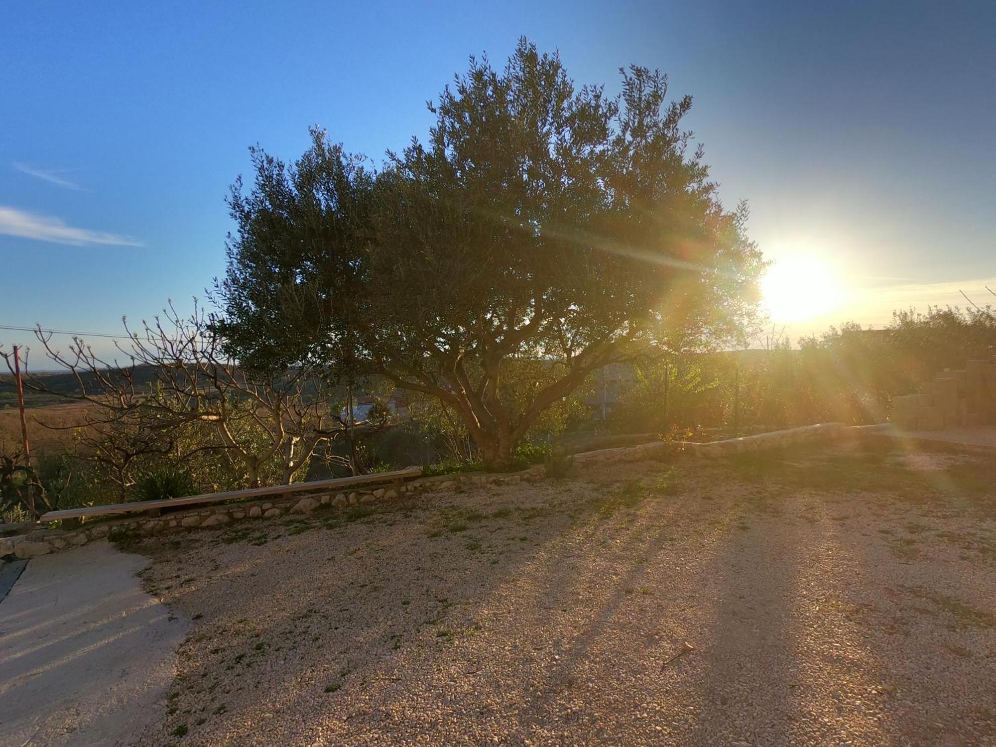 Apartman Tina Ražanac Buitenkant foto